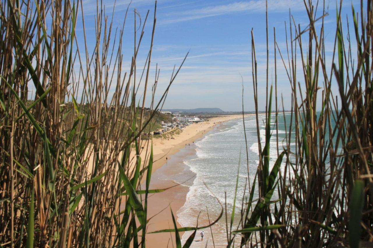 Estudio En El Centro De Conil Conil De La Frontera Zewnętrze zdjęcie