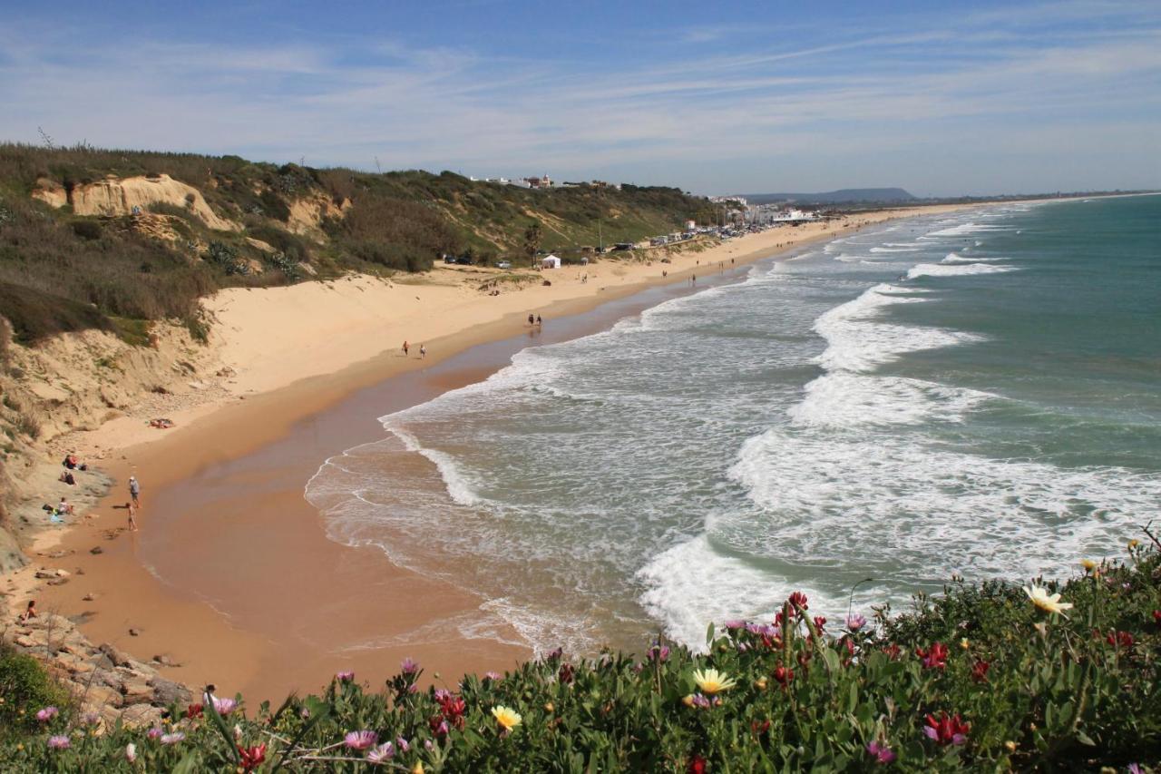 Estudio En El Centro De Conil Conil De La Frontera Zewnętrze zdjęcie